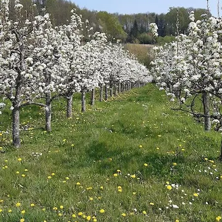 Vignoble De Holiday home Cleebourg