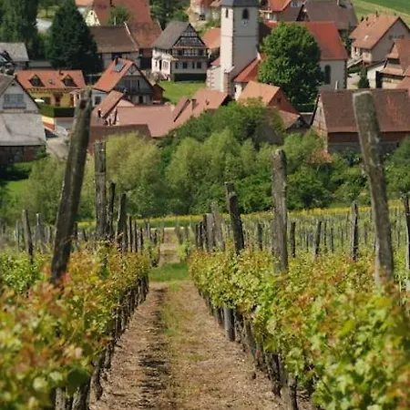 Vignoble De *